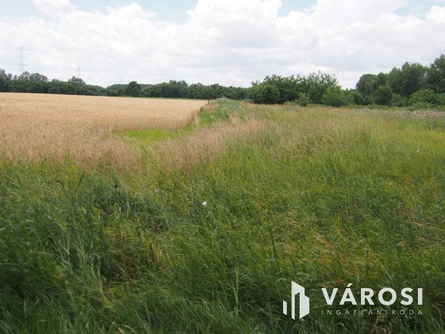 Iparterület Szeged és Vásárhely között, a Tisza hídnál!