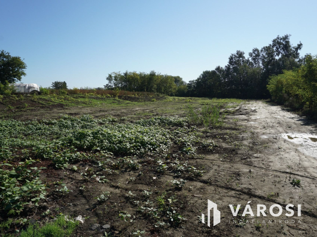5176 m2 telek több lehetőséggel Gyulán!