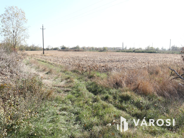 Többcélú hasznosításra alkalmas gazdasági ingatlan!