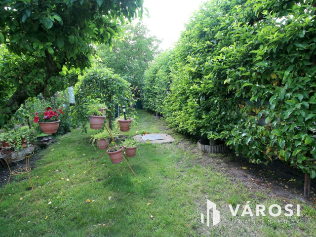 Édenkert Szeged népszerű üdülő övezetében