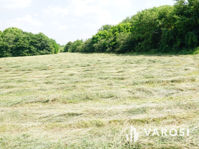 A lehetőségek telke a Solymárvölgyi úton!