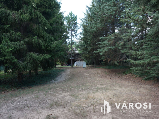 Normafa árnyékában hatalmas telekkel!