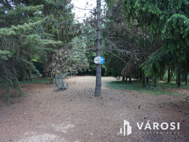 Normafa árnyékában hatalmas telekkel!