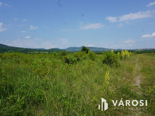 Új parcellázású, 2000nm-es telek Pomázon!