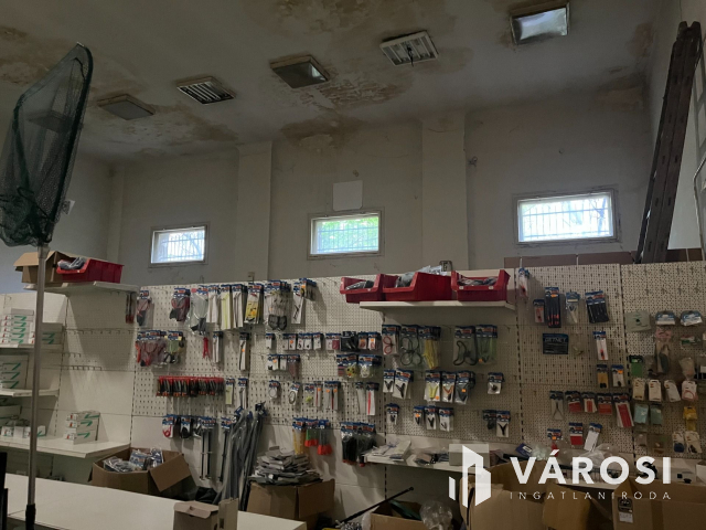 Budapesten nagy ház telekkel eladó!