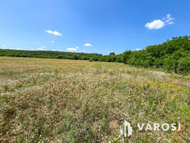 3 hektáros ipari terület Debrecenben!