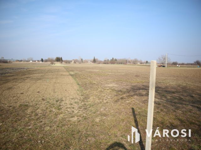 Eladó telek Szőreg kiváló részén!