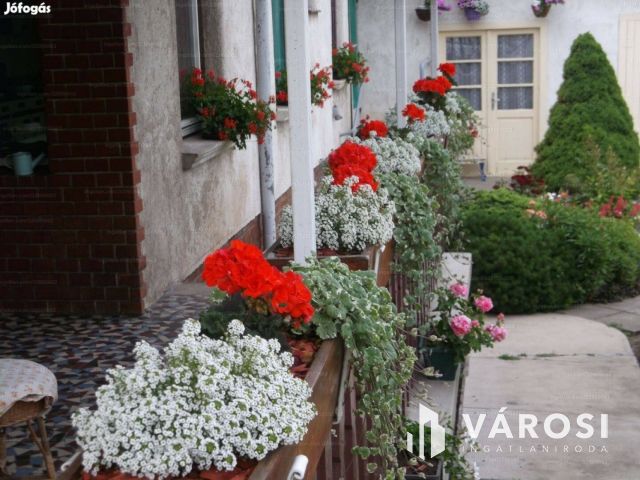 Masszív szerkezetű kétgenerációs ház nagy telekkel