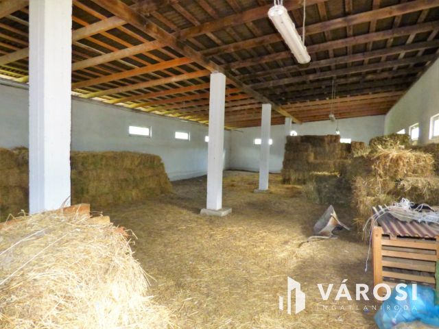 Ipari csarnok eladó egyedi hitelkonstrukcióval is!