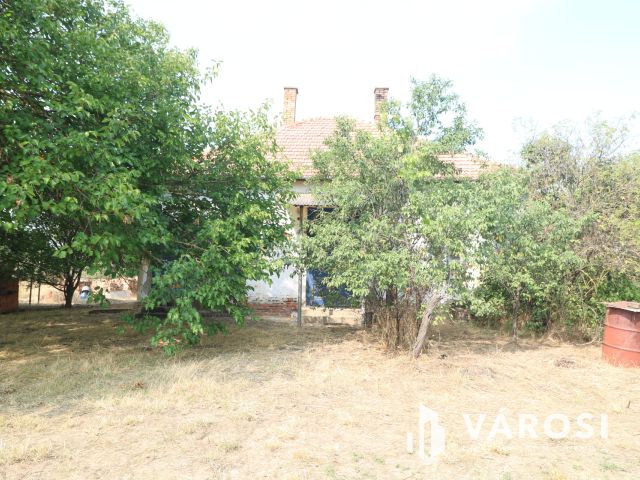 Sándorfalvi úton lévő tanya, közel 100 000 nm-en.