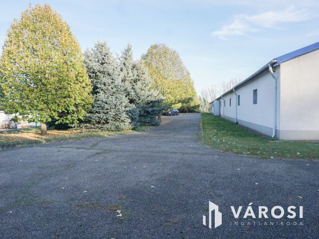 Élelmiszer feldolgozó ár alatt eladó!