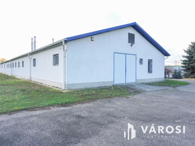 Élelmiszer feldolgozó ár alatt eladó!