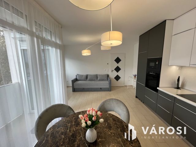 Debrecen Belvárosban, Dupla komfortos Nagy Lakás Kiadó!