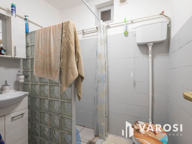 Baktói családi ház garázzsal és nagy telekkel