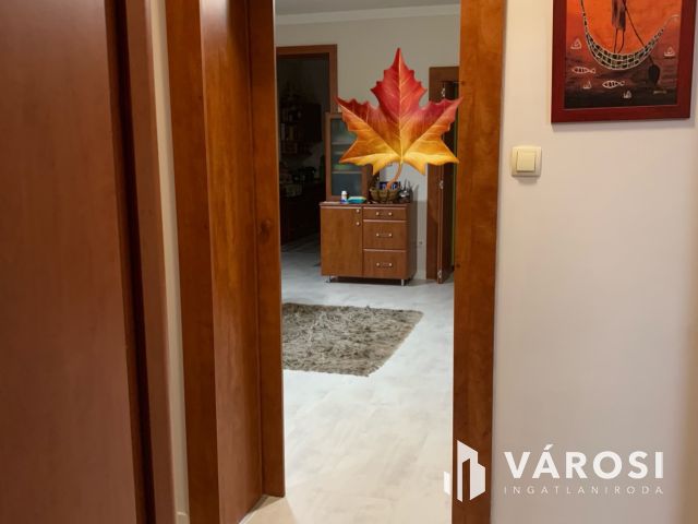 Tágas otthon, gyönyörű  kerttel és nagy terasszal eladó