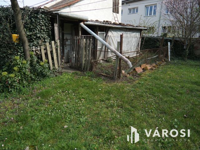 Teleki utcában, udvari lakás kis zöldterülettel