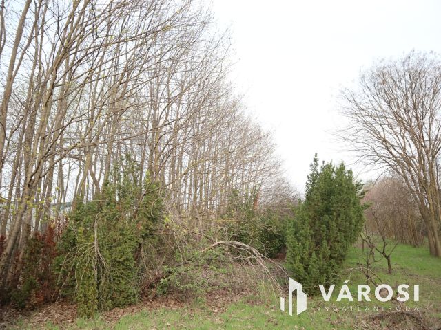 Eladó telek Szőregen, közel a Szerb templomhoz!