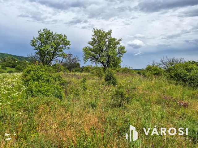 Eladó panorámás zártkerti telek Csókakőn